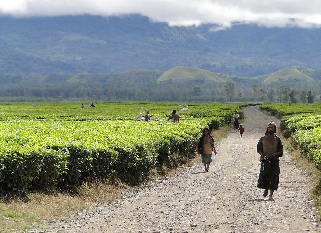 Papua Nowa Gwinea